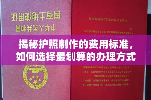 二道江揭秘护照制作的费用标准，如何选择最划算的办理方式？